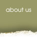 about us - reaction chamber design studios
